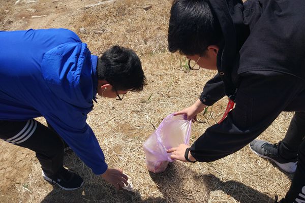 塔山公园捡拾垃圾